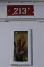 cell213 (4)